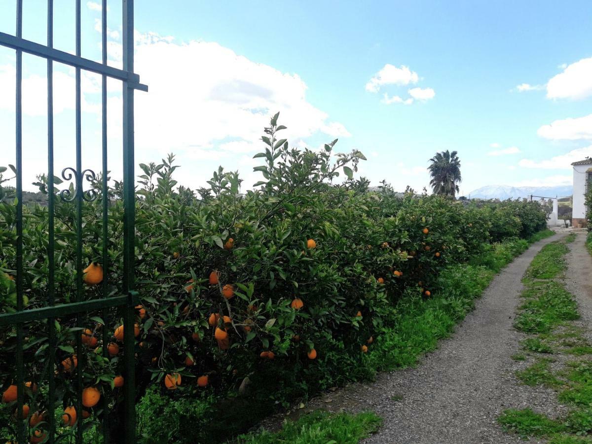 Casa Rural La Estrella Писара Екстериор снимка